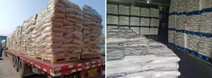 Dicalcium phosphate manufacturer