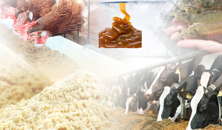 Soy Lecithin Powder Uses Soy Lecithin Powder Uses