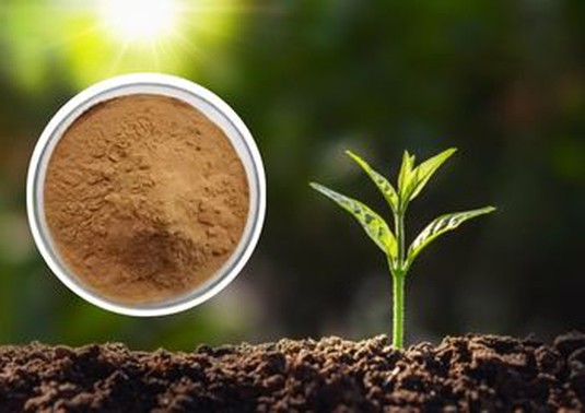 Tea Saponin powder manufacturer Tea Saponin powder manufacturer